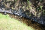 Creek