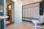 Bathroom detail