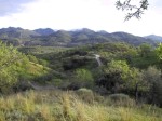 view from Plot