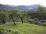 Flat area of plot