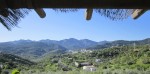 monda (1)