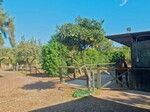 Finca Oasis, Guadalobon Estepona (30)