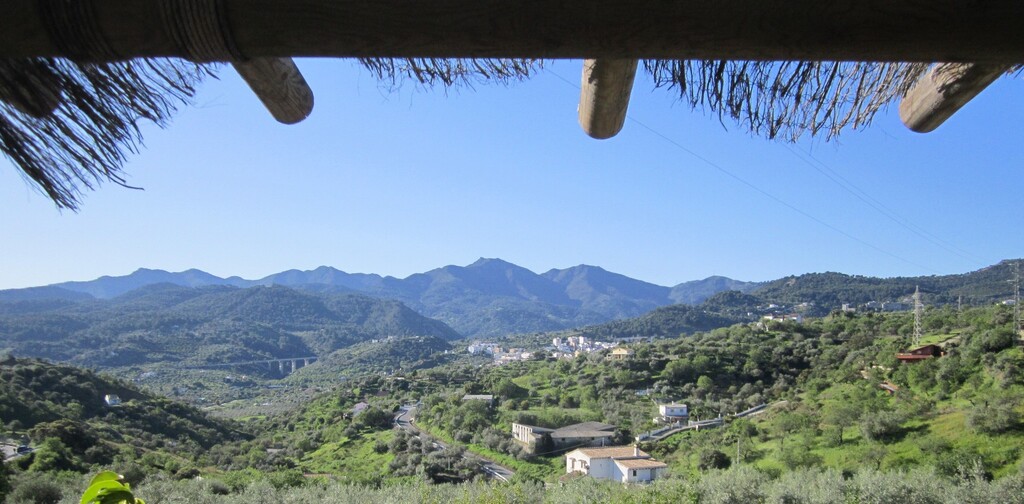 monda (1)