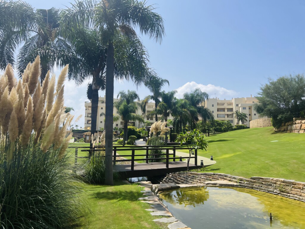 Myramar Del Sol apartment (3)