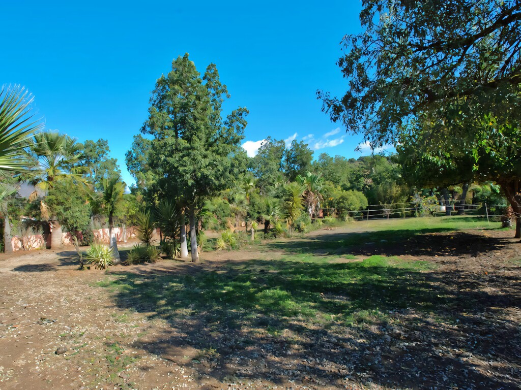 Finca Oasis, Guadalobon Estepona (31)
