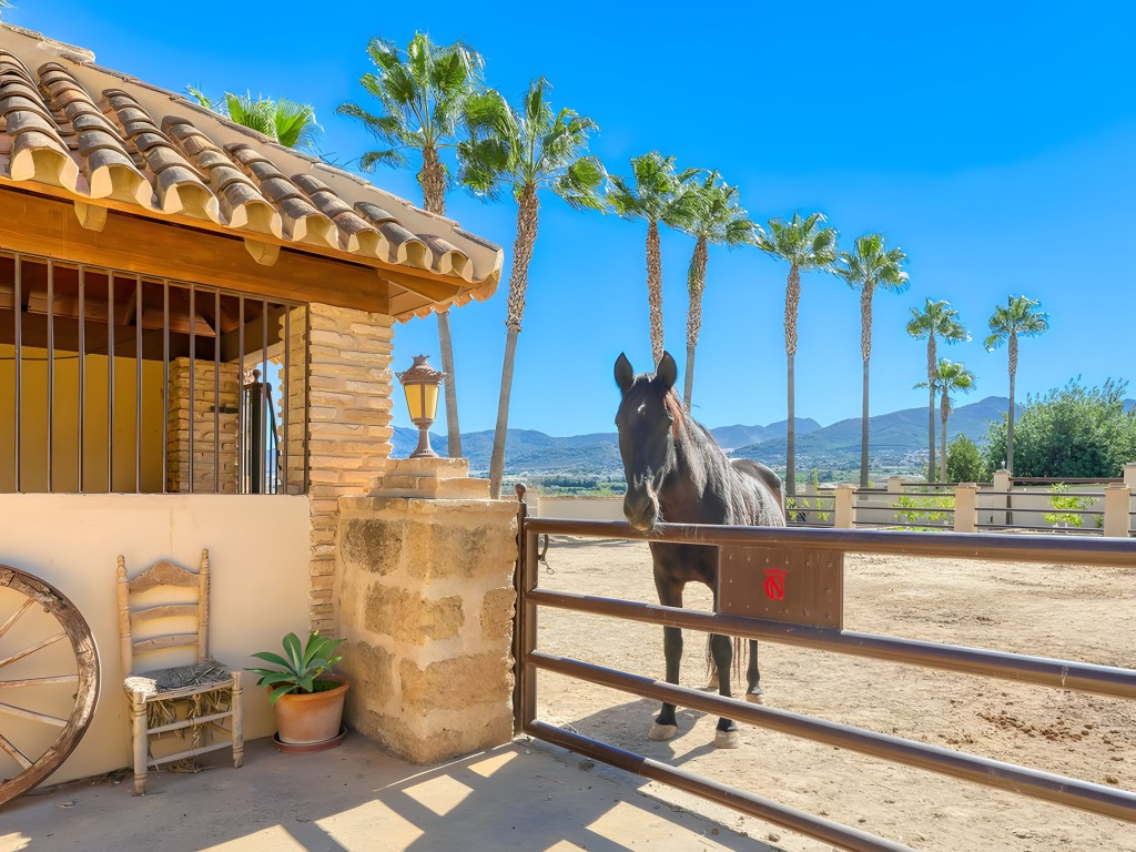 Country Mansion Alhauring de La Torre (44)
